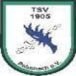 TSV 1905 Palmbach e.V.