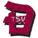 TSV Deizisau II