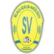 SV Blau-Gelb Mülsen II