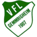 VfL Gemmrigheim