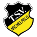 TSV Michelfeld 1954 II