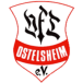 VfL Ostelsheim