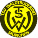 TSV Waldtrudering II