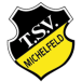 TSV Michelfeld 1954