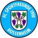 FC SF Dossenheim
