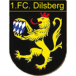 1. FC Dilsberg