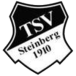 TSV Steinberg