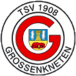 TSV Großenkneten