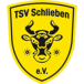 TSV 1878 Schlieben II