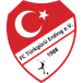 FC Türkgücü Erding II