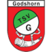 TSV Godshorn III