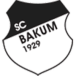 SC Schwarz-Weiß Bakum III