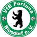 VfB Fortuna Biesdorf III