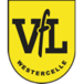 VfL Westercelle III