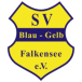 SV Blau-Gelb Falkensee II