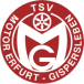 TSV Motor Gispersleben III