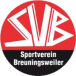 SV Breuningsweiler III