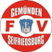 FV Gemünden/Seifriedsburg