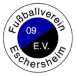 FV 09 Eschersheim II