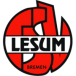 TSV Lesum-Burgdamm III