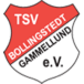 TSV Bollingstedt-Gammellund III
