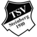 TSV Steinberg III