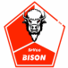 SpVgg Bison