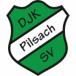 DJK SV Pilsach II