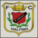 FC Halfing