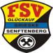 FSV GA Brieske Senftenbe. II