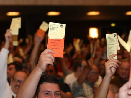 Abstimmung auf der Club-JHV 2019.
