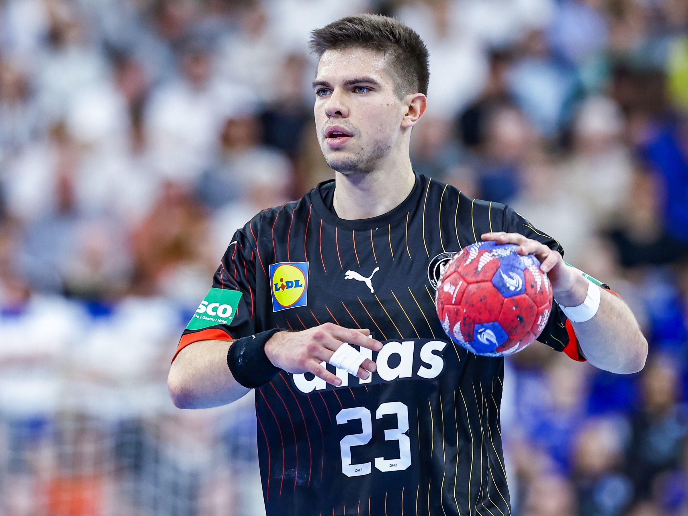 Handball im Fernsehen MännerWM 2025 Dänemark, Österreich und Schweden in FreeTV und