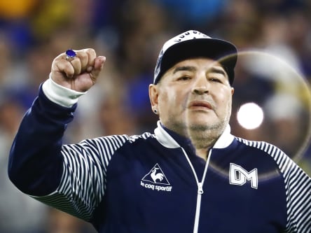"Mitreißen kann er, zumindest anfangs": Diego Armando Maradona, hier im März 2020 als Trainer von Gimnasia La Plata.