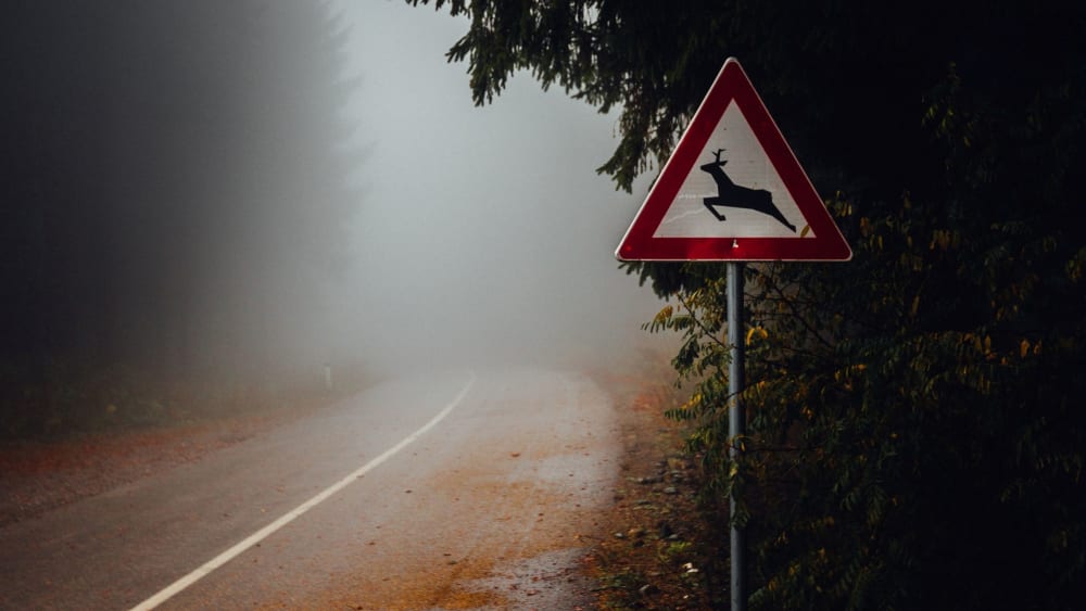 Verkehrszeichen Wildwechsel