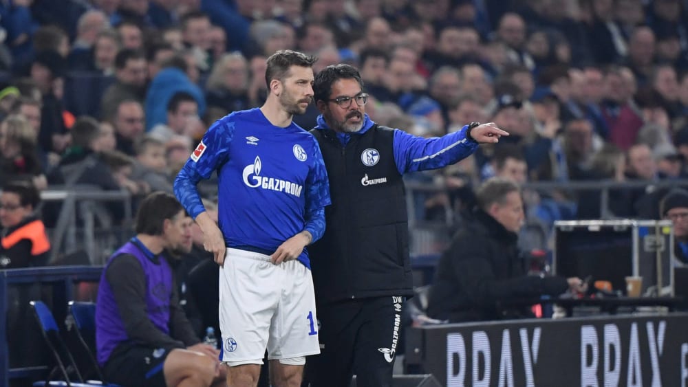 Guido Burgstaller, David Wagner