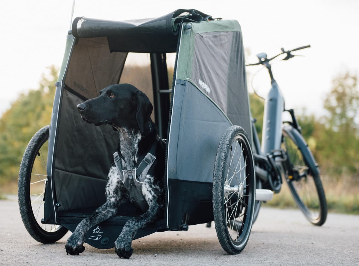 BIKE AND DOG Fahrrad Hund um einen oder mehrere Hunde mit dem Fahrrad auszuführen Patentiertes Produkt. 