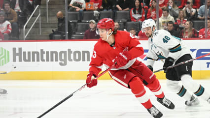Detroit Red Wings | NHL Preseason 2021 | Teaminfo - kicker