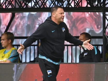 Herthas Trainer Pal Dardai