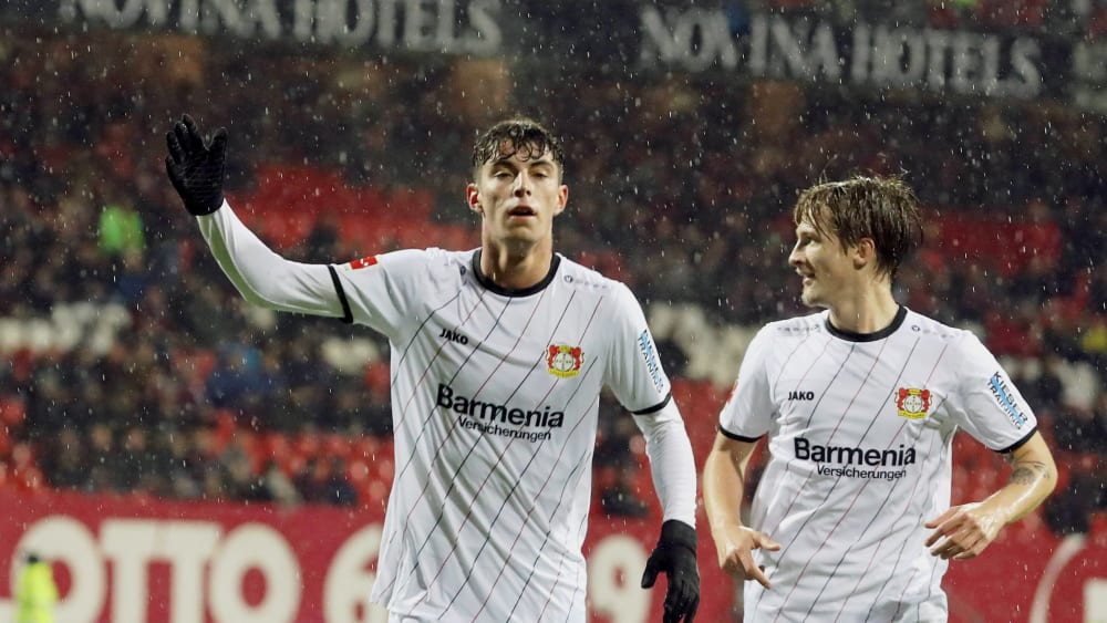 Kav Havertz, Tin Jedvaj