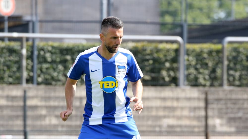 Vedad Ibisevic