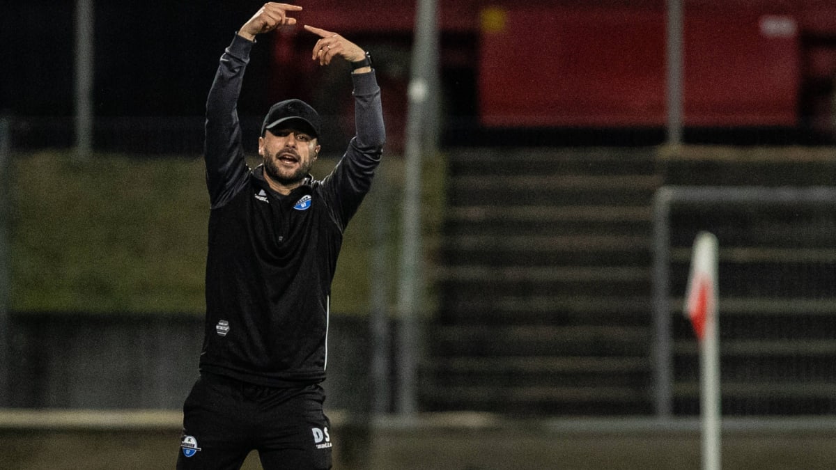Highlights: SC Paderborn 07 II vs. FC Wegberg-Beeck