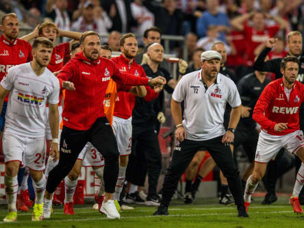 Kölns Trainer Steffen Baumgart