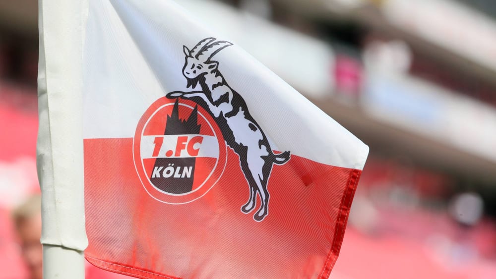 Der 1. FC Köln will die Aufarbeitung der Vorfälle von Nizza vorantreiben.