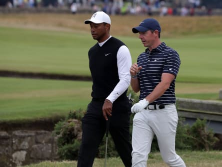 Tiger Woods (li.) und Rory McIlroy