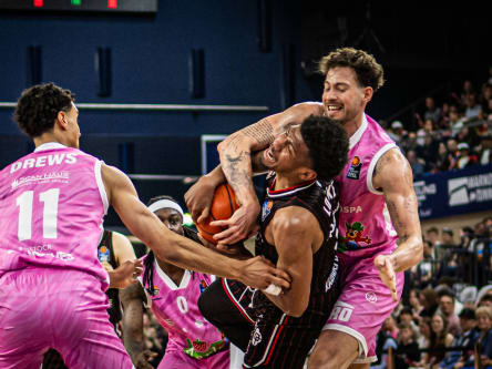 Die Rostock Seawolves Schlugen Bamberg Deutlich