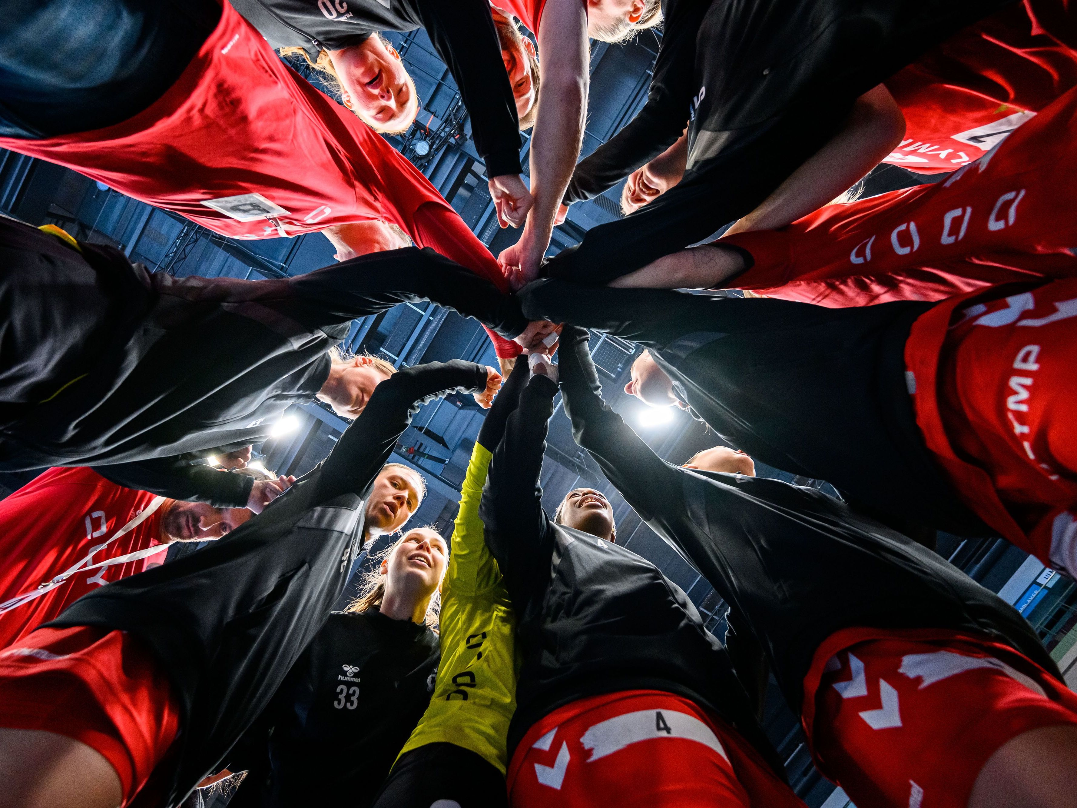 Handball-Knall in Ludwigsburg: Der Finanzkollaps und seine Folgen
