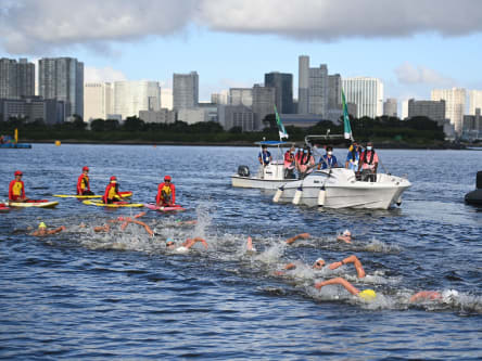 Schinden vor der Skyline Tokios: Freiwasserschwimmerinnen.