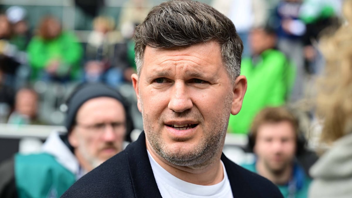 TSG Hoffenheim: Schicker's crazy year