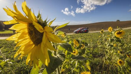 Dieses Jahr heulen die Motoren bei der Central European Rallye etwas früher auf.