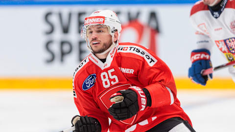 Nati-Spieler, welche die ZSC-Organisation durchlaufen haben